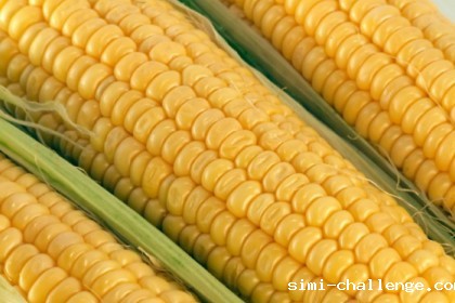 强势反弹!玉米能否延续涨势?